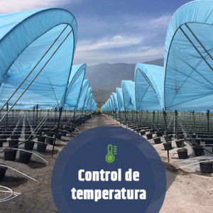 plásticos para la agricultura
